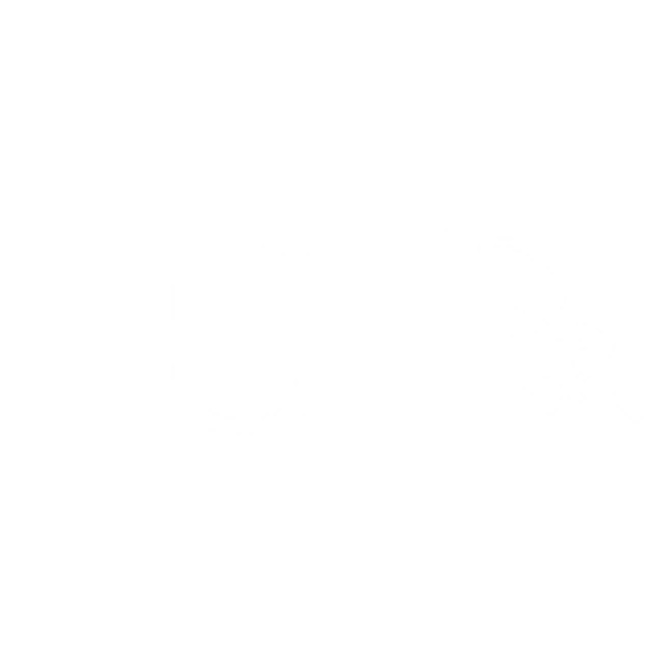 Fop Boots