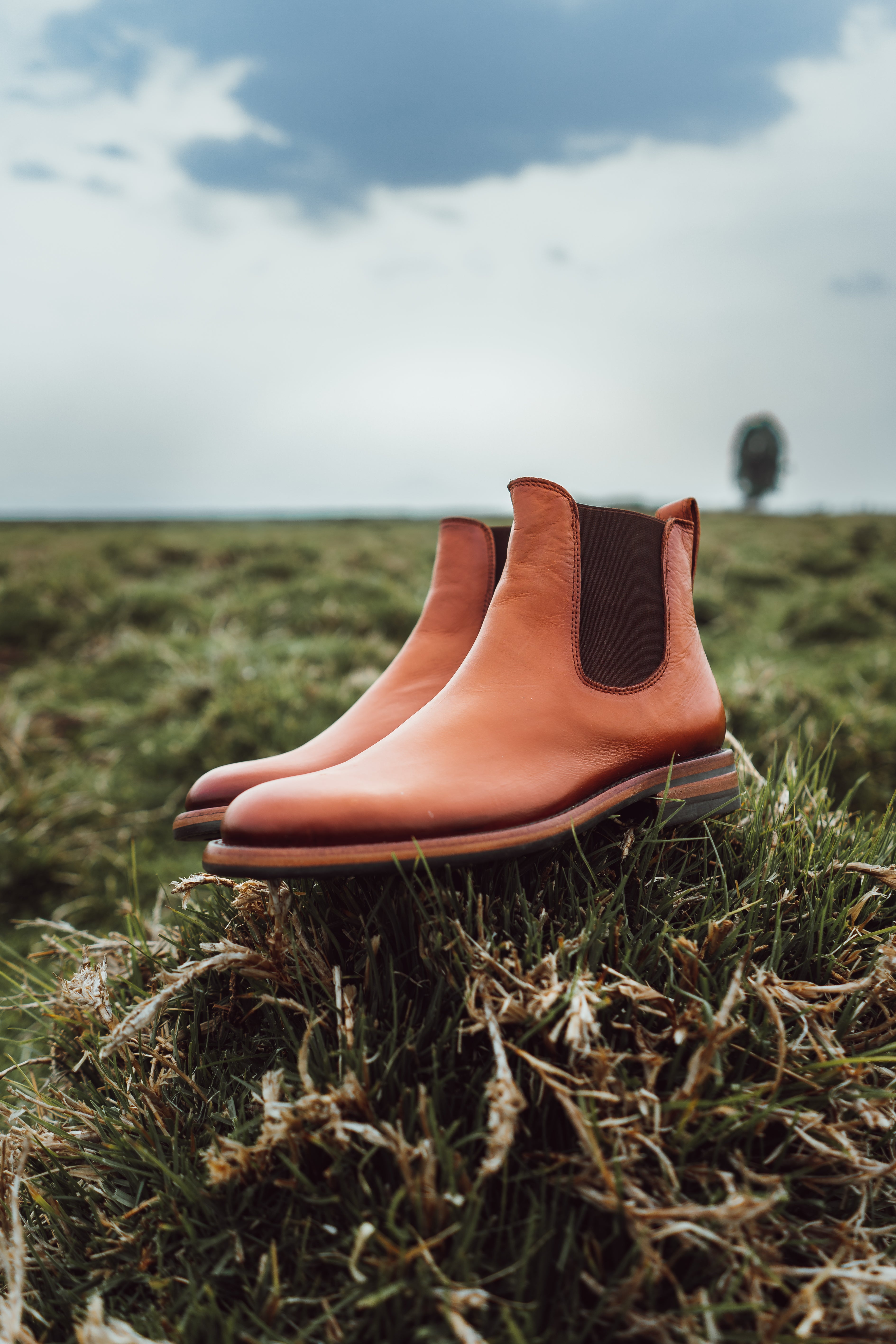 Rickie – Golden Brown