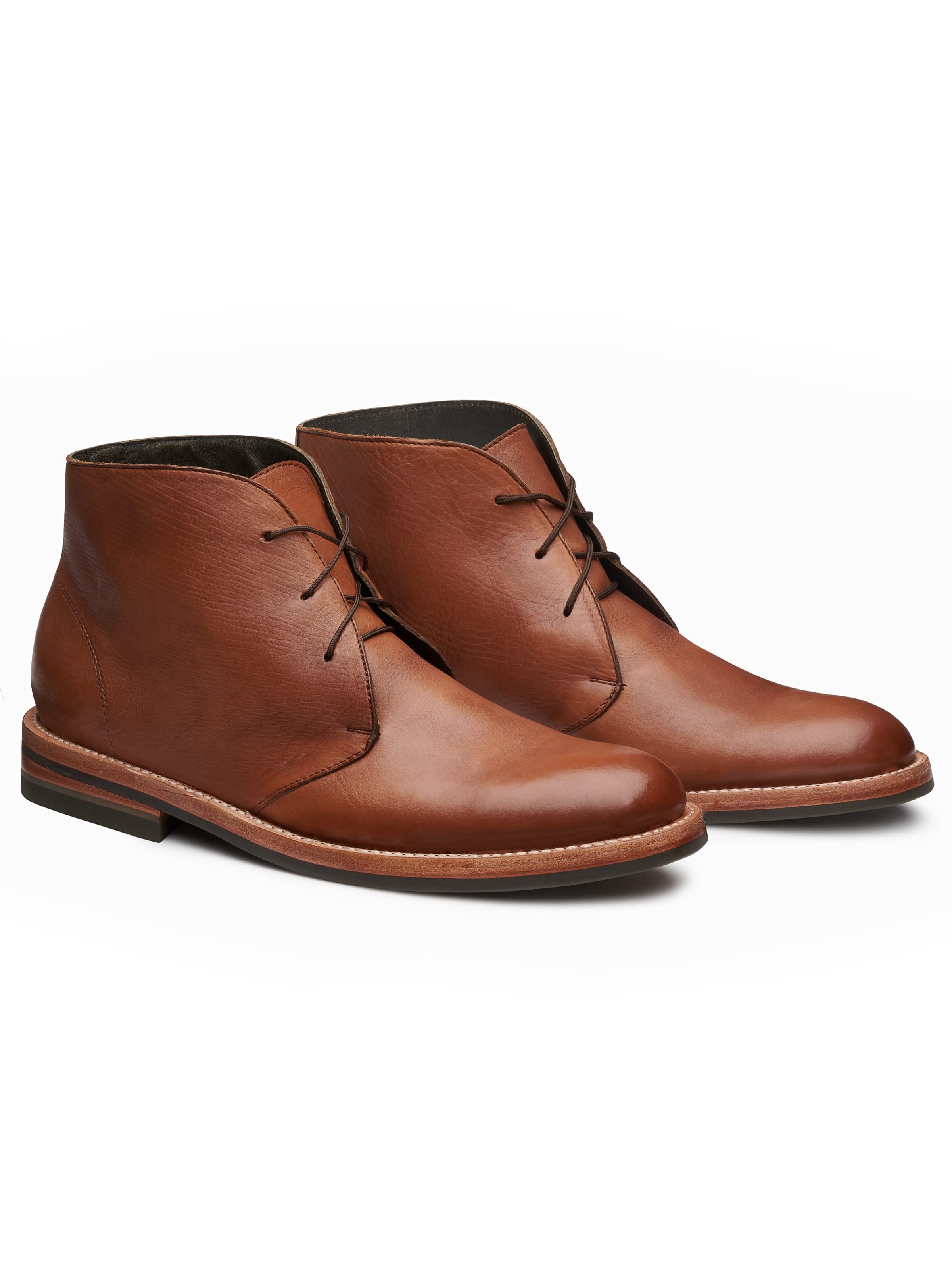 Tommy- Golden Brown