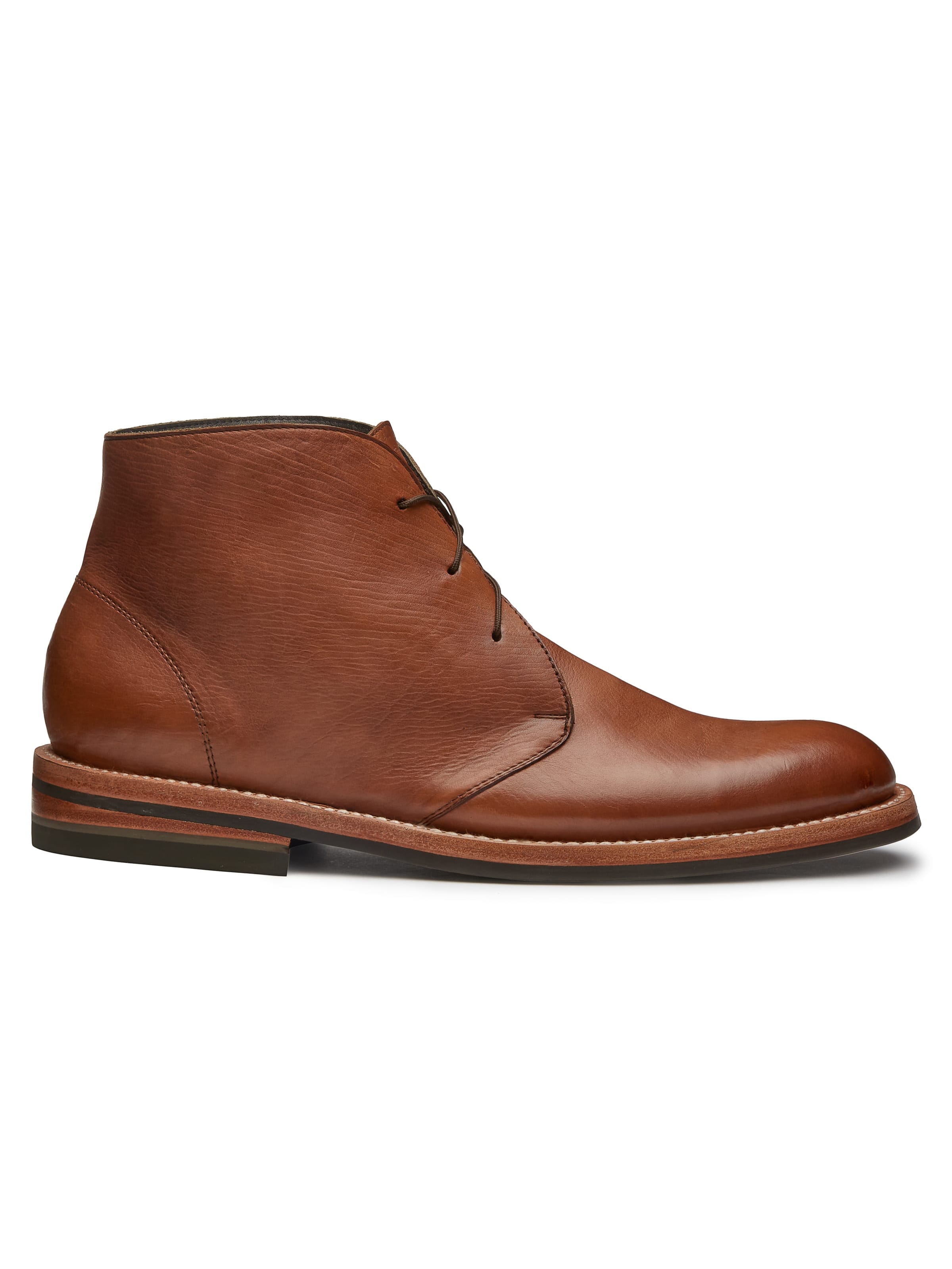 Tommy- Golden Brown